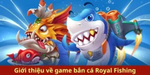 Bí Kíp Bắn Cá Royal Fishing Tại C54 Giúp Ngư Thủ Hốt Bạc