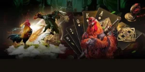 Hướng Dẫn Chơi Đá Gà GA28 Tại C54 Chi Tiết Cho Người Mới Bắt Đầu 2 Hướng Dẫn Chơi Đá Gà GA28 Tại C54 Chi Tiết Cho Người Mới Bắt Đầu