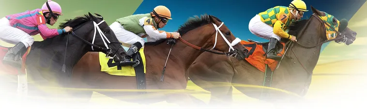 Tìm Hiểu Cá Cược Đua Ngựa C54 Phiên Bản Cho Người Mới Bắt Đầu 1 Tìm Hiểu Cá Cược Đua Ngựa C54 Phiên Bản Cho Người Mới Bắt Đầu